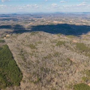 Photo #7 of 74.83 Windy Hill, Westfield, NC 74.8 acres