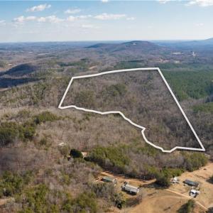 Photo #1 of 74.83 Windy Hill, Westfield, NC 74.8 acres