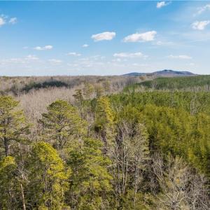Photo #5 of 74.83 Windy Hill, Westfield, NC 74.8 acres