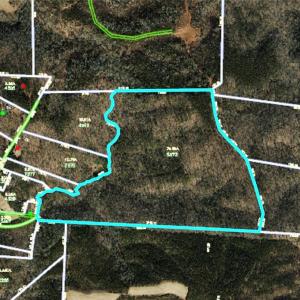 Photo #20 of 74.83 Windy Hill, Westfield, NC 74.8 acres