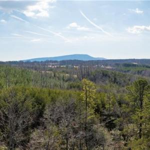 Photo #9 of 74.83 Windy Hill, Westfield, NC 74.8 acres