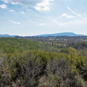 Photo #10 of 74.83 Windy Hill, Westfield, NC 74.8 acres