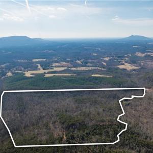Photo #14 of 74.83 Windy Hill, Westfield, NC 74.8 acres
