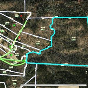 Photo #19 of 74.83 Windy Hill, Westfield, NC 74.8 acres