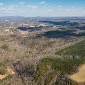 Photo #8 of 74.83 Windy Hill, Westfield, NC 74.8 acres
