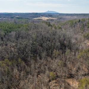 Photo #13 of 74.83 Windy Hill, Westfield, NC 74.8 acres