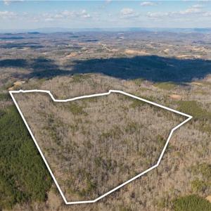 Photo #16 of 74.83 Windy Hill, Westfield, NC 74.8 acres