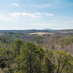 Photo #12 of 74.83 Windy Hill, Westfield, NC 74.8 acres