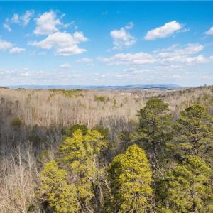 Photo #5 of 74.83 Windy Hill, Westfield, NC 74.8 acres