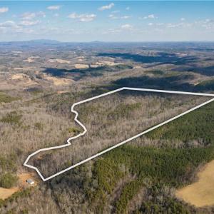 Photo #18 of 74.83 Windy Hill, Westfield, NC 74.8 acres