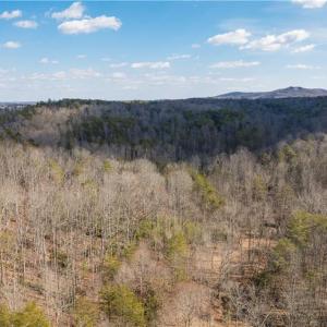 Photo #4 of 74.83 Windy Hill, Westfield, NC 74.8 acres