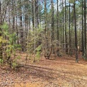 Photo #3 of 225 Cove Wood, Denton, NC 0.7 acres