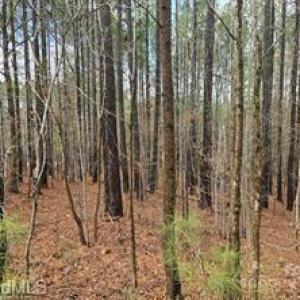 Photo #1 of 225 Cove Wood, Denton, NC 0.7 acres