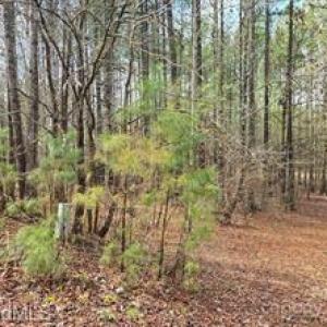 Photo #4 of 225 Cove Wood, Denton, NC 0.7 acres