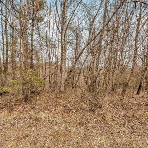 Photo #18 of TBD Meadow Creek, Galax, VA 10.0 acres