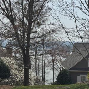 Winter Lake View