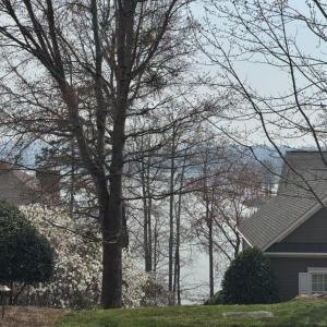 Winter Lake View