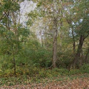 Photo #2 of OAKWOOD, Lexington, NC 0.5 acres