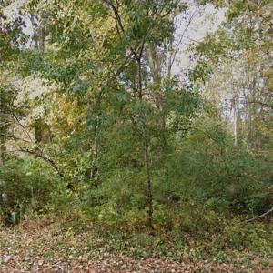 Photo #1 of OAKWOOD, Lexington, NC 0.5 acres