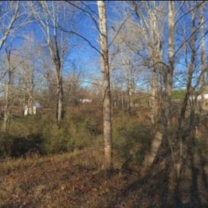 Photo #4 of OAKWOOD, Lexington, NC 0.5 acres