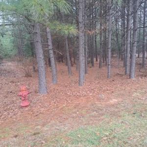 Photo #2 of 198 Water Oak, Mount Gilead, NC 0.8 acres