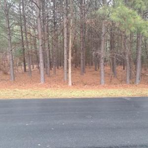 Photo #1 of 198 Water Oak, Mount Gilead, NC 0.8 acres