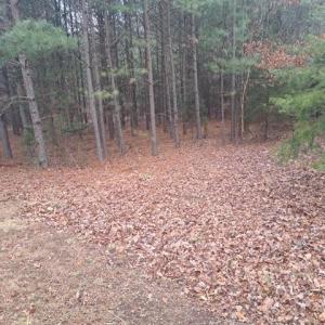 Photo #4 of 198 Water Oak, Mount Gilead, NC 0.8 acres