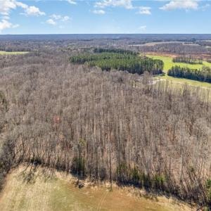 Photo #8 of Arrowhead, Mocksville, NC 33.7 acres
