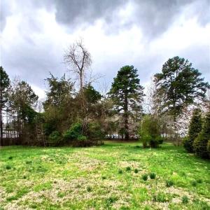 Photo #5 of 874 Scout, Lexington, NC 1.6 acres