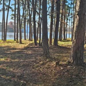 Photo #2 of Rothrock, Lexington, NC 3.3 acres