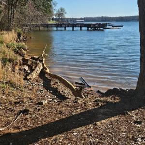 Photo #7 of Rothrock, Lexington, NC 3.3 acres