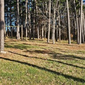 Photo #4 of Rothrock, Lexington, NC 3.3 acres