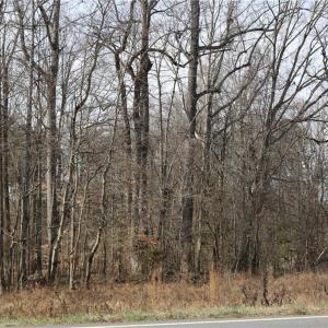 Photo #2 of Jones Chapel, Reidsville, NC 4.5 acres