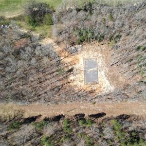 Cleared site