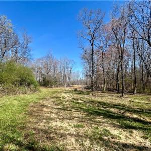 Plenty of land for ATV trails