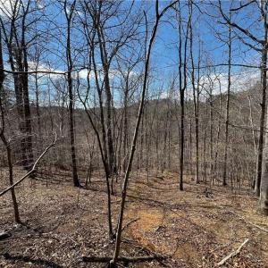 Photo #6 of Bob Mabe, Danbury, NC 23.5 acres
