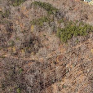 Photo #13 of Bob Mabe, Danbury, NC 23.5 acres