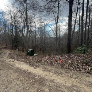 Photo #12 of Bob Mabe, Danbury, NC 23.5 acres