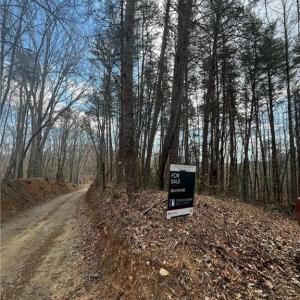 Photo #3 of Bob Mabe, Danbury, NC 23.5 acres