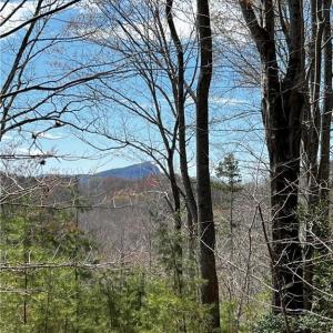Photo #5 of Bob Mabe, Danbury, NC 23.5 acres