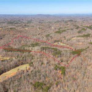 Photo #20 of Bob Mabe, Danbury, NC 23.5 acres
