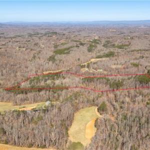 Photo #19 of Bob Mabe, Danbury, NC 23.5 acres