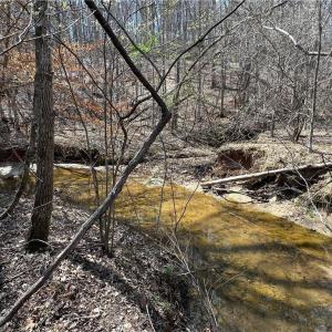 Photo #8 of Bob Mabe, Danbury, NC 23.5 acres