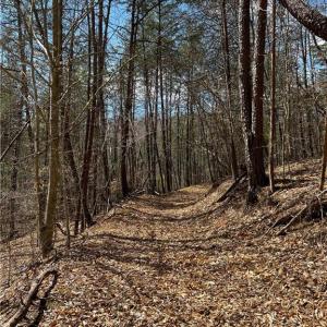 Pathway