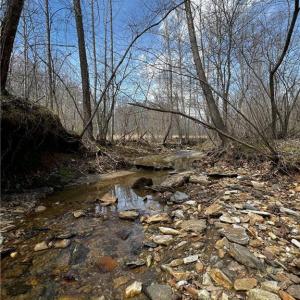 Photo #16 of Bob Mabe, Danbury, NC 23.5 acres