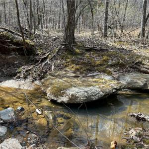 Creek