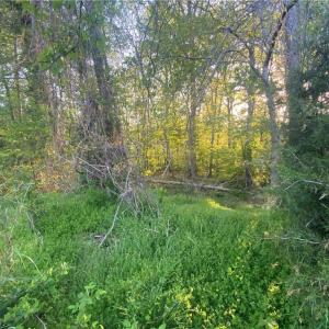 Photo #1 of 1904 Brant Pointe, Whitsett, NC 0.6 acres