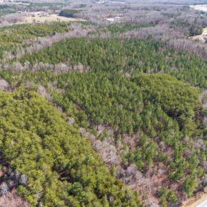 Photo #4 of 7275 Atkins, Mebane, NC 15.2 acres
