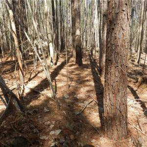 Photo #23 of Oakland, Asheboro, NC 24.0 acres