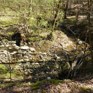 Photo #6 of Oakland, Asheboro, NC 24.0 acres